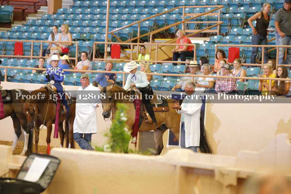 Proof 15YN_12808