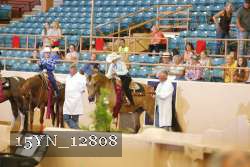 15YN_12808 proof