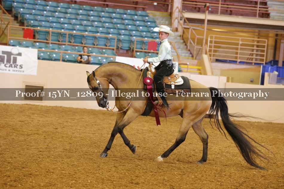 Proof 15YN_12809