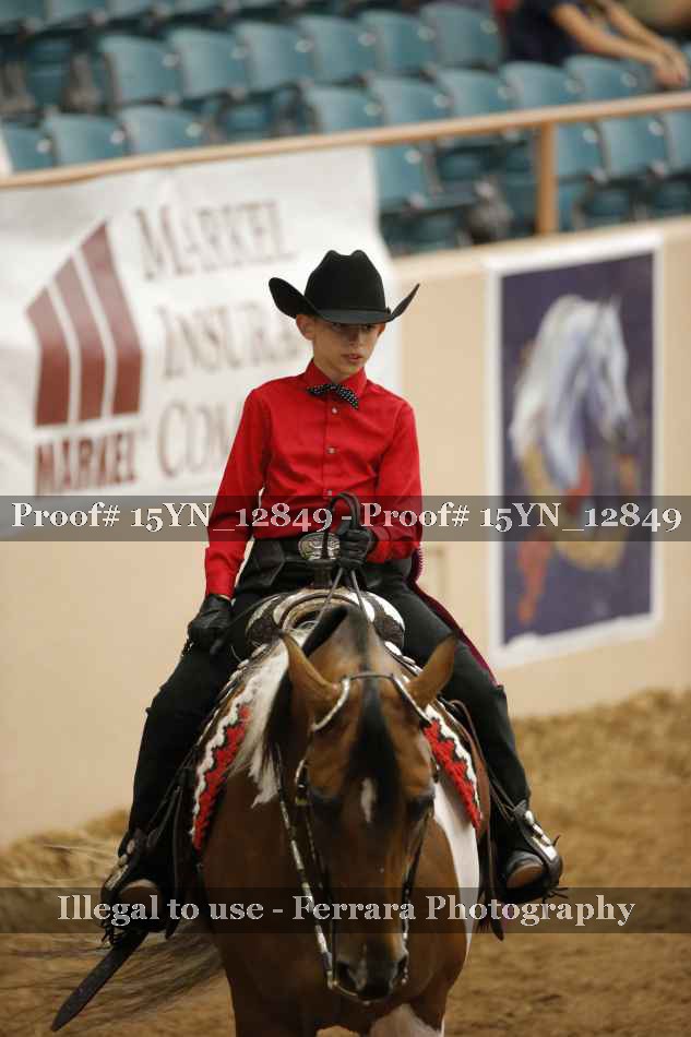 Proof 15YN_12849