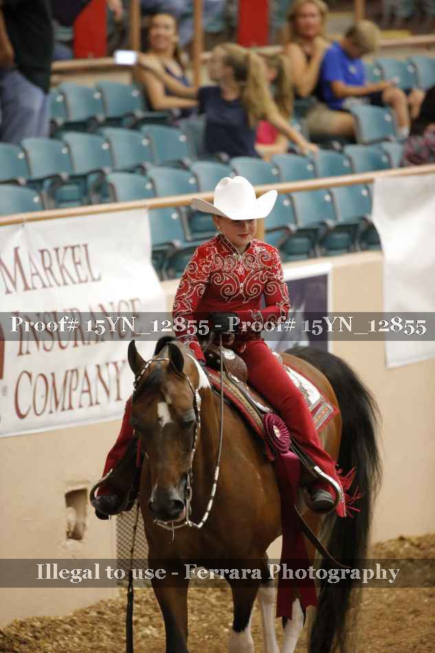 Proof 15YN_12855