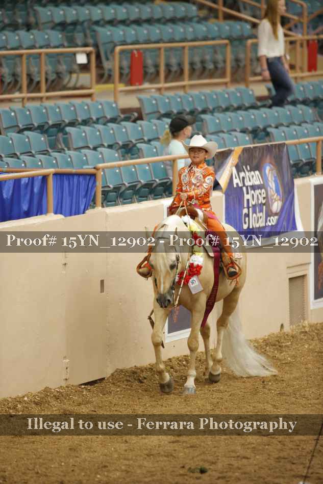 Proof 15YN_12902