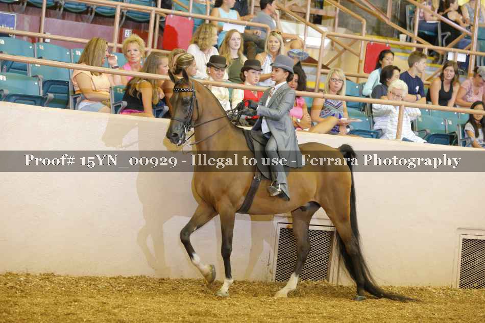 Proof 15YN_00929