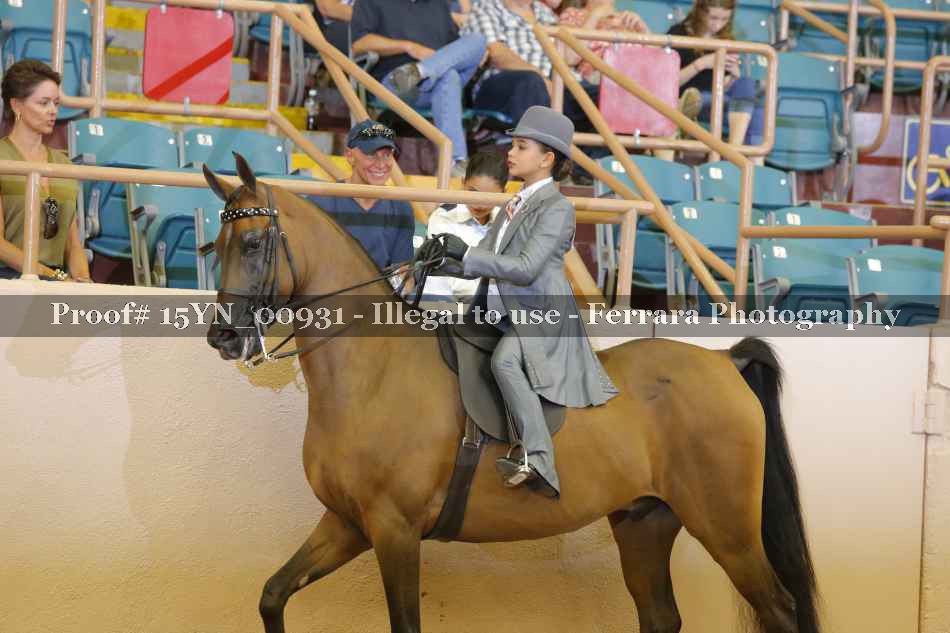 Proof 15YN_00931