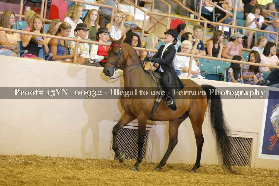 Proof 15YN_00932