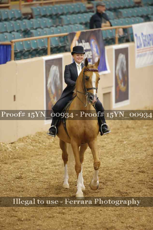 Proof 15YN_00934