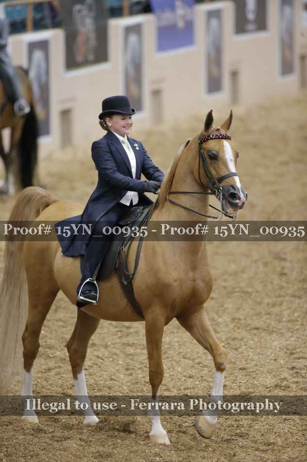 Proof 15YN_00935