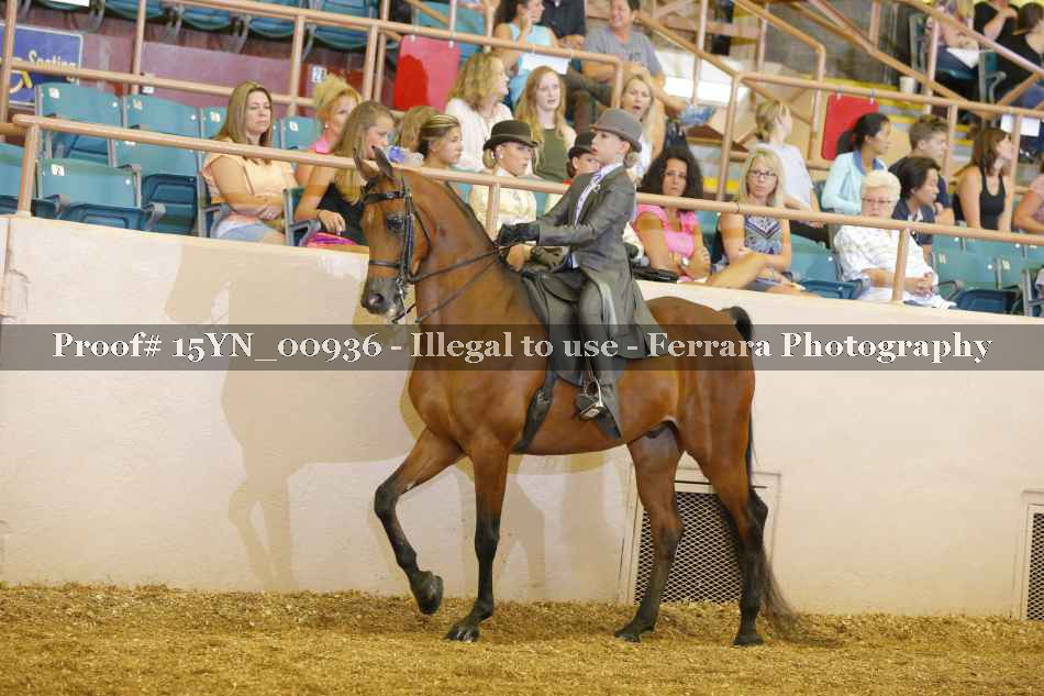 Proof 15YN_00936