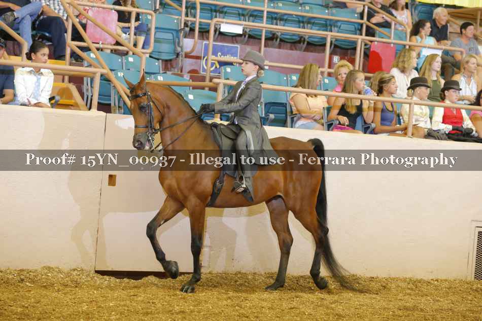 Proof 15YN_00937