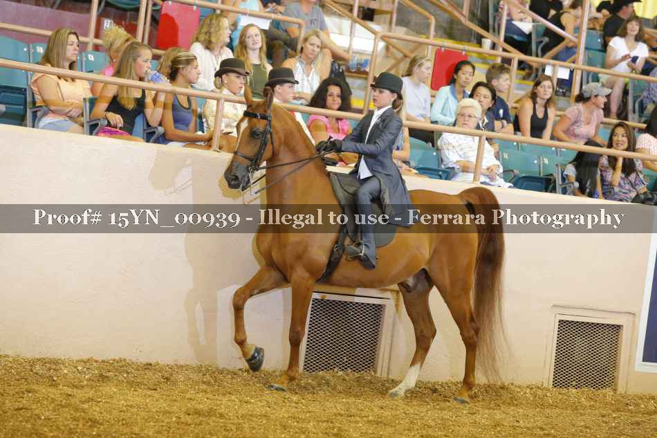 Proof 15YN_00939