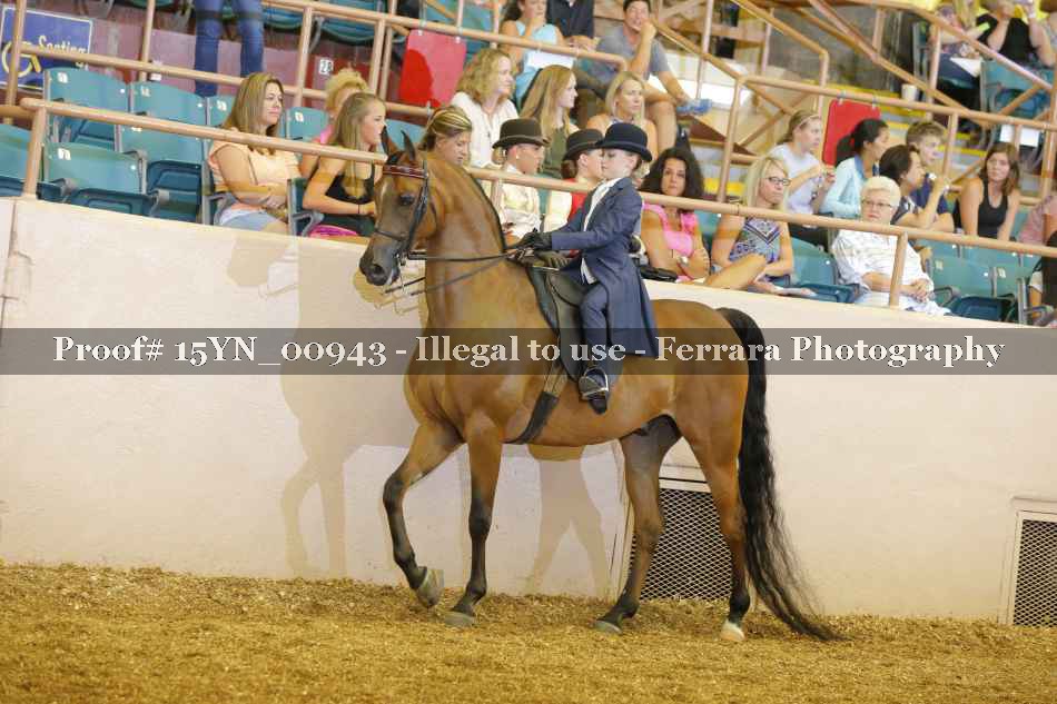 Proof 15YN_00943