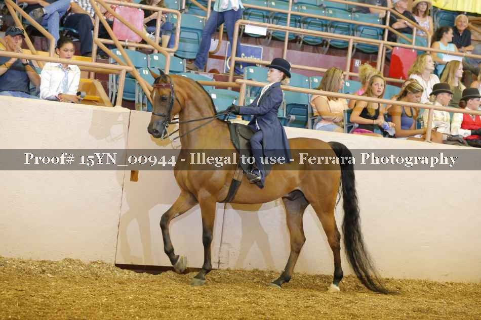 Proof 15YN_00944