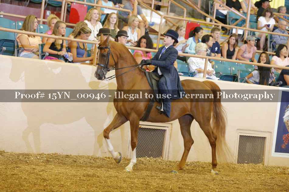 Proof 15YN_00946