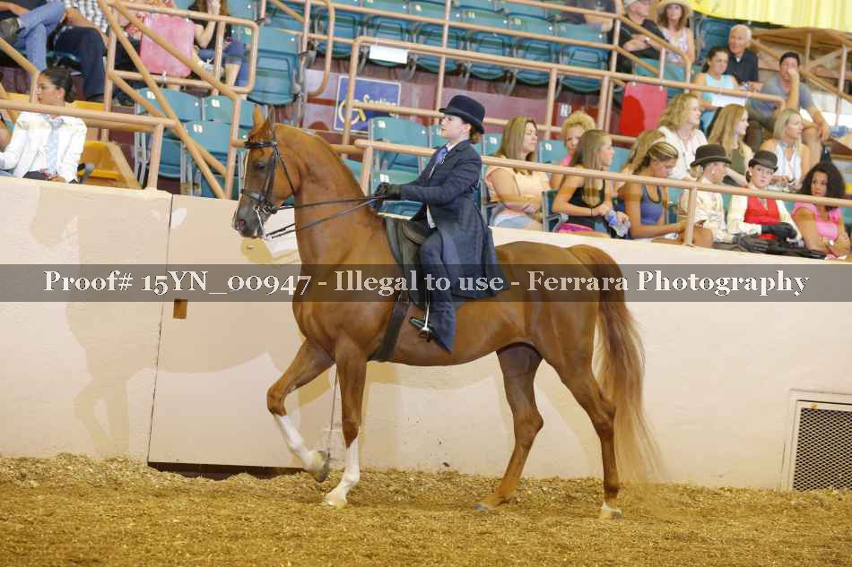 Proof 15YN_00947