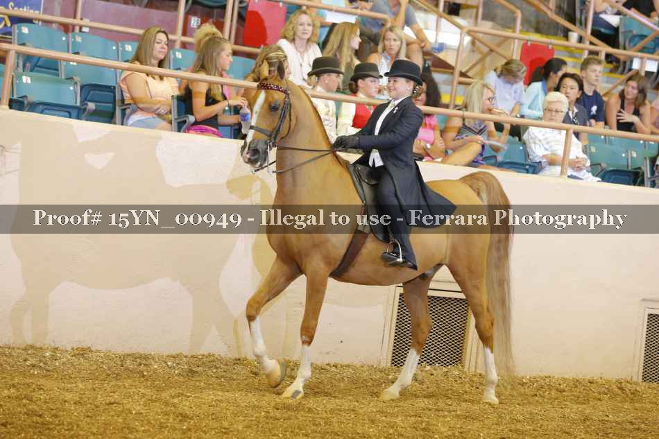 Proof 15YN_00949