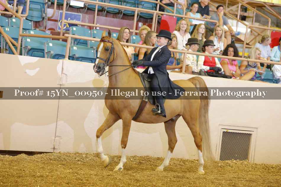 Proof 15YN_00950