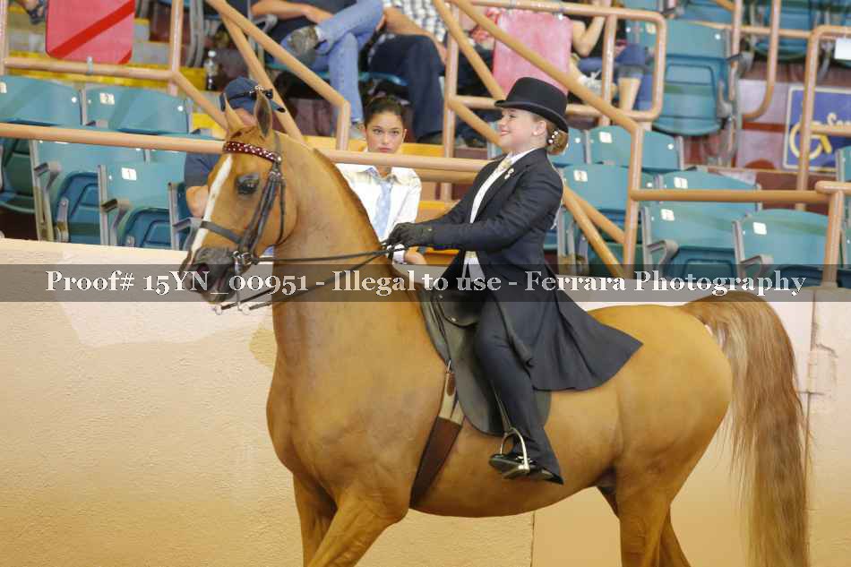 Proof 15YN_00951
