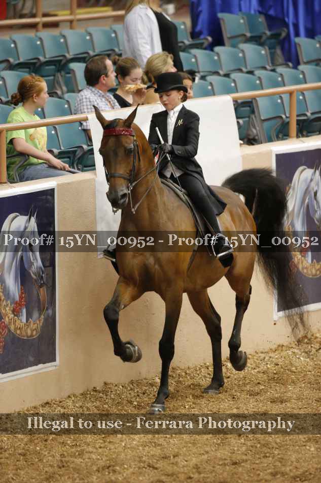 Proof 15YN_00952