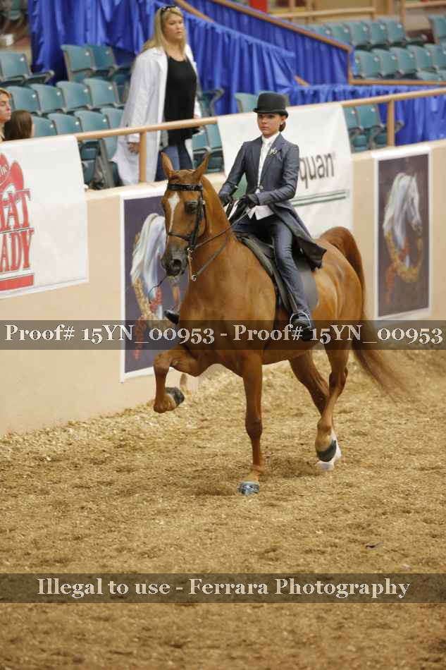 Proof 15YN_00953