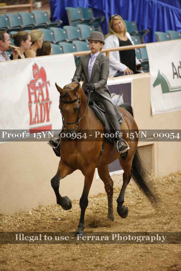 Proof 15YN_00954