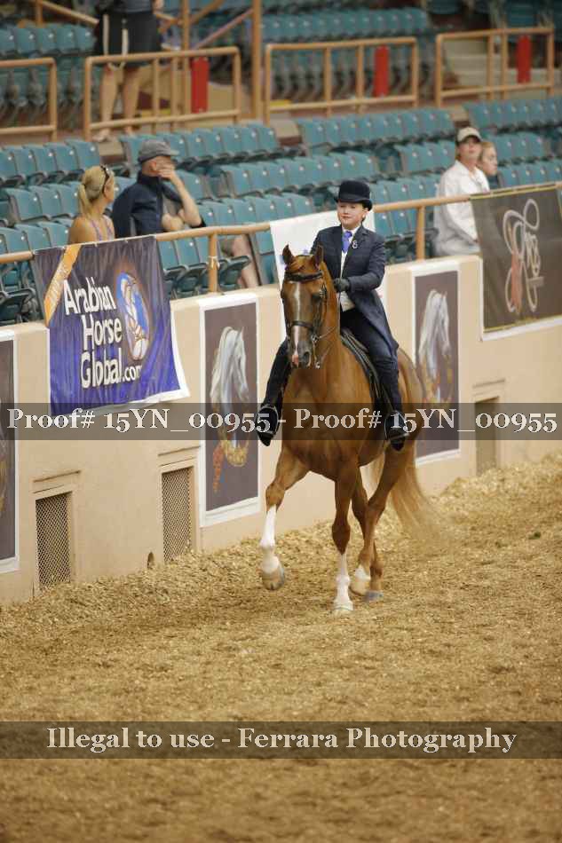 Proof 15YN_00955