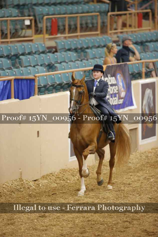 Proof 15YN_00956