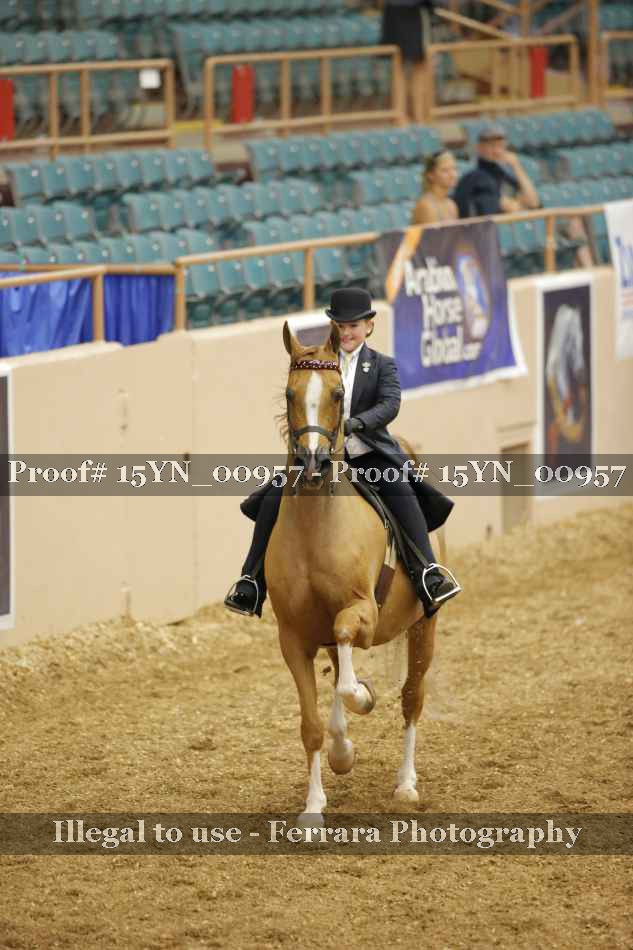 Proof 15YN_00957