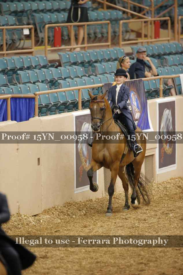 Proof 15YN_00958