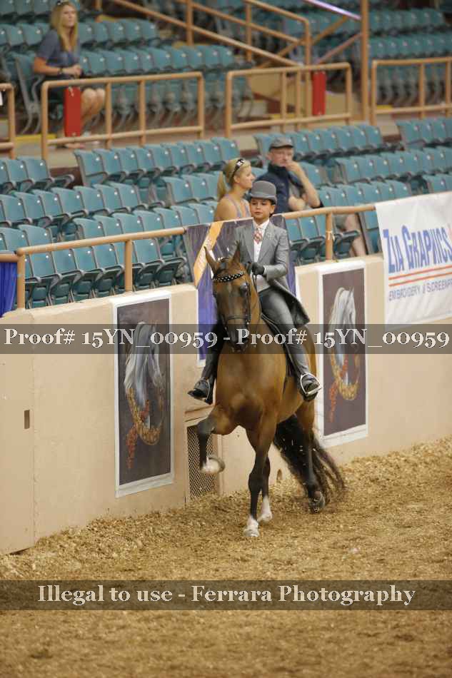 Proof 15YN_00959