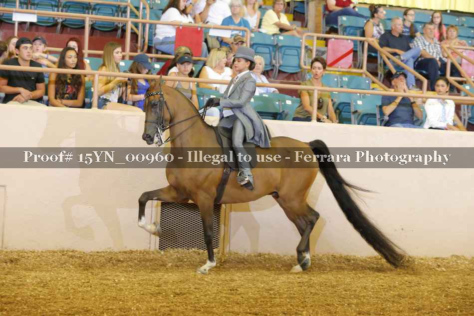 Proof 15YN_00960