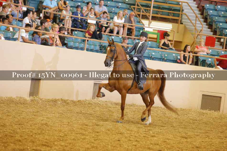 Proof 15YN_00961