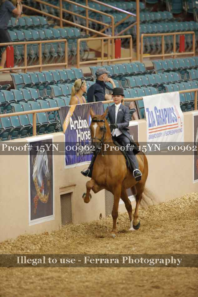 Proof 15YN_00962