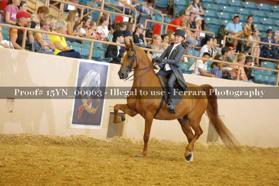 Proof 15YN_00963