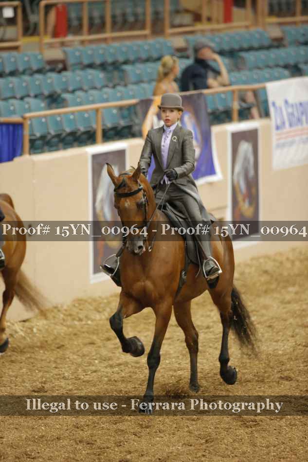 Proof 15YN_00964