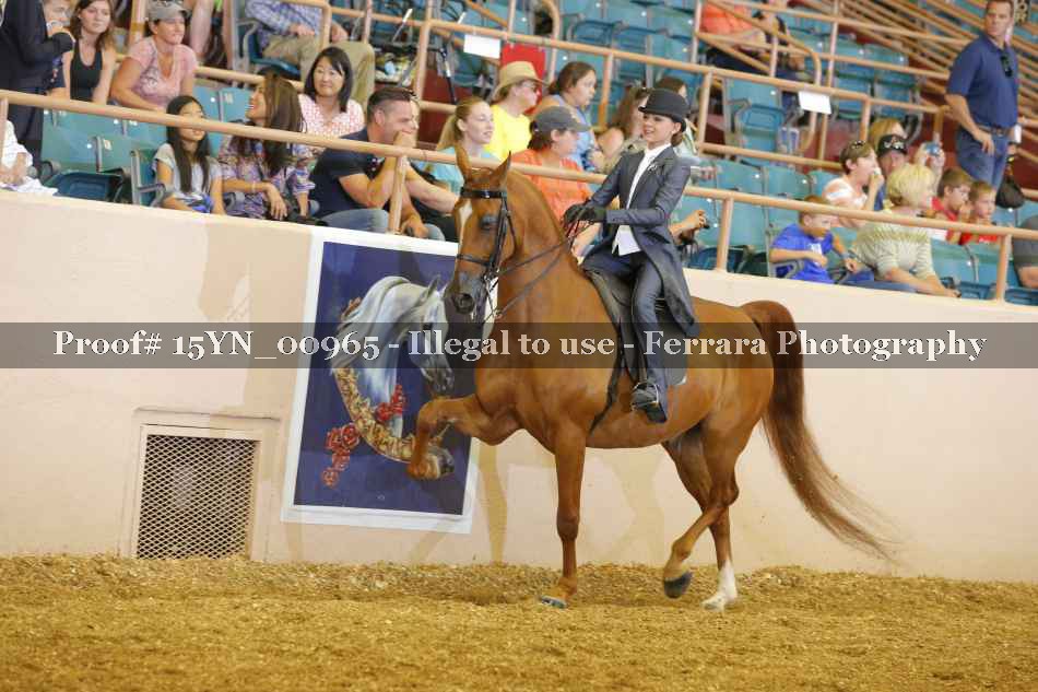 Proof 15YN_00965