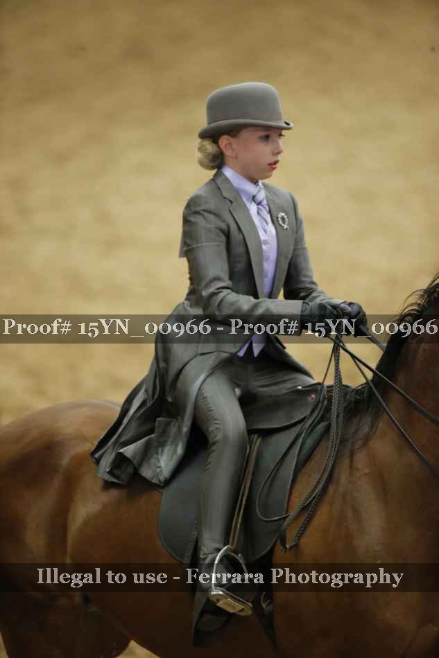 Proof 15YN_00966