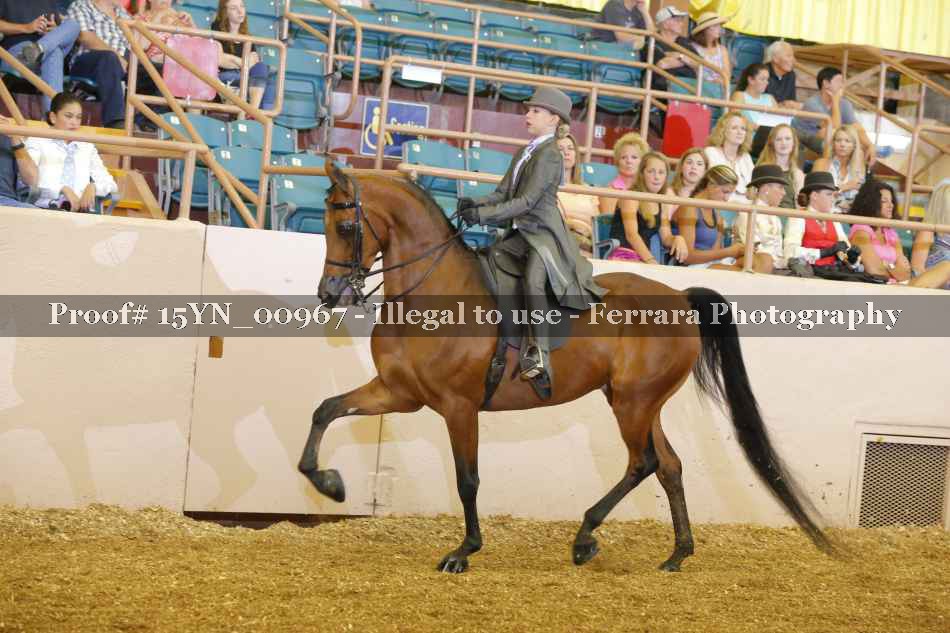 Proof 15YN_00967