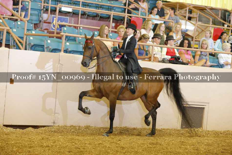 Proof 15YN_00969