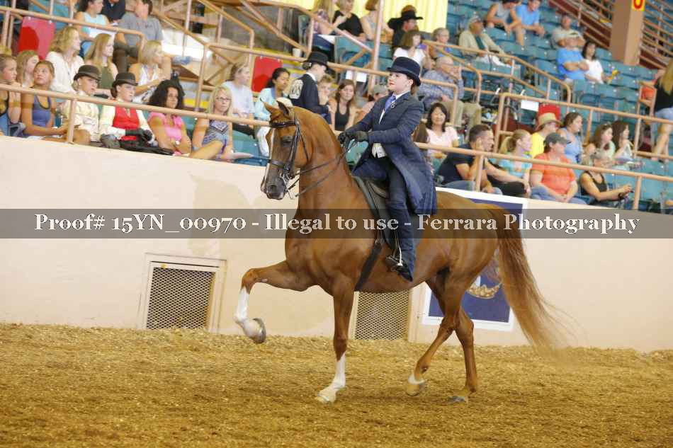 Proof 15YN_00970