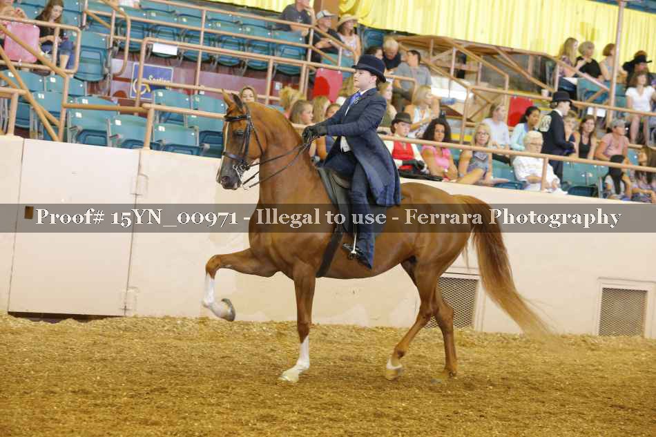 Proof 15YN_00971