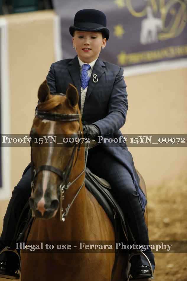 Proof 15YN_00972
