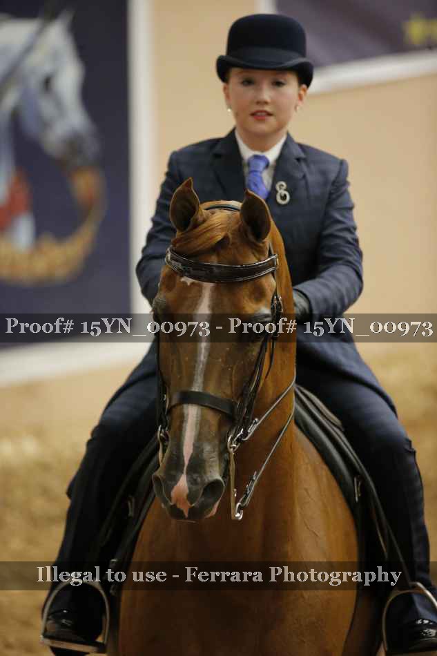 Proof 15YN_00973