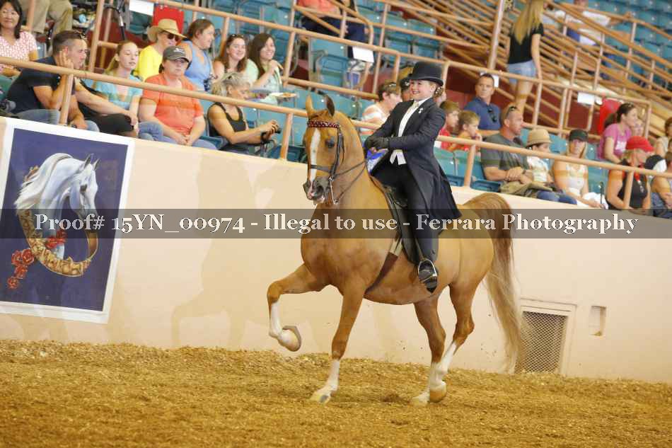 Proof 15YN_00974