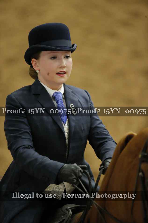 Proof 15YN_00975