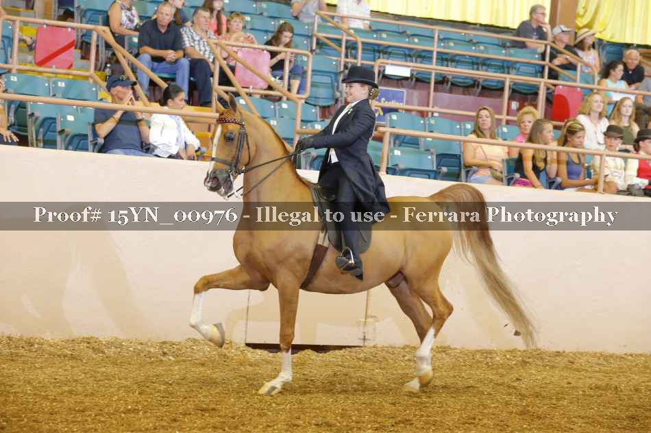 Proof 15YN_00976