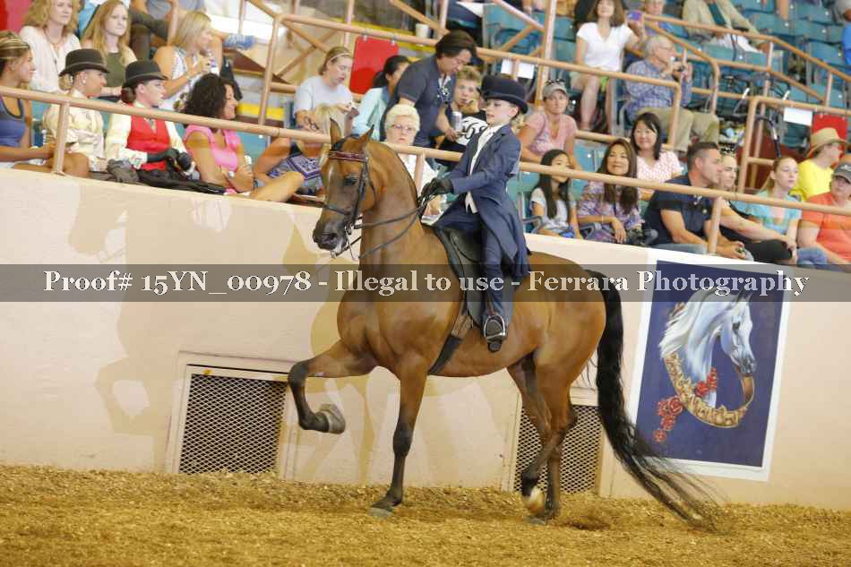 Proof 15YN_00978