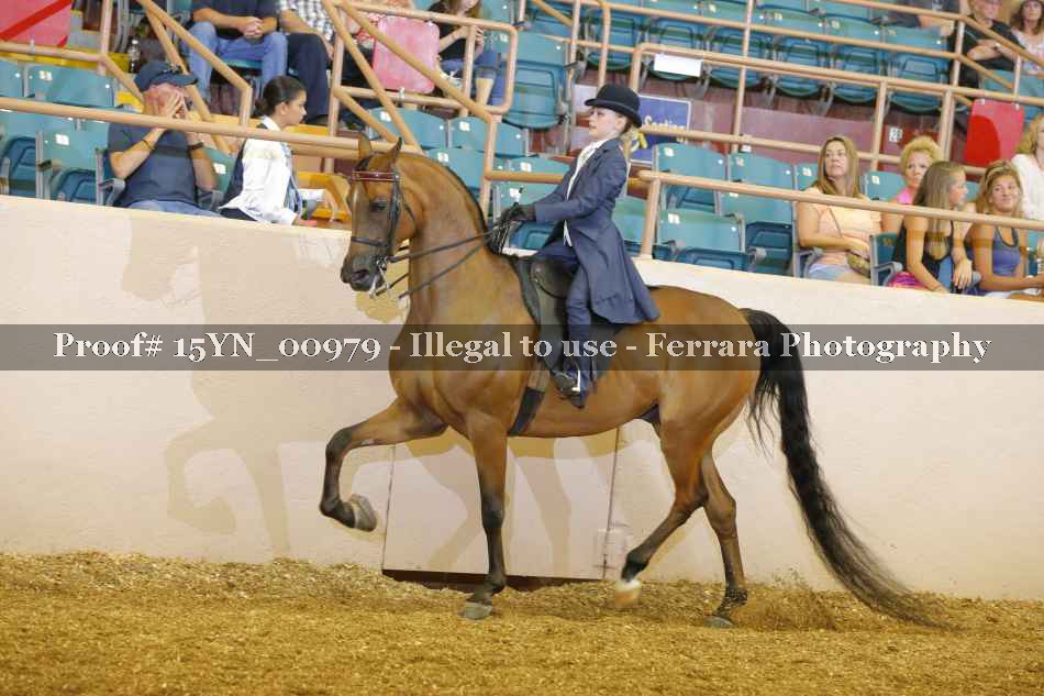 Proof 15YN_00979