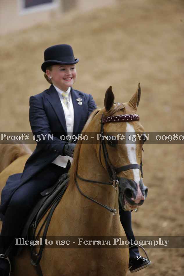 Proof 15YN_00980