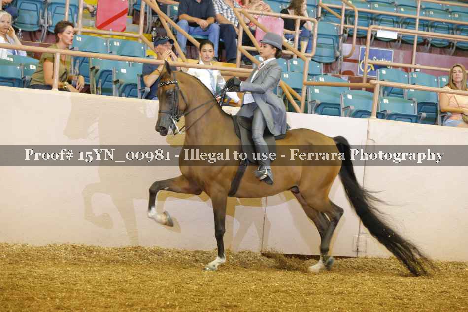 Proof 15YN_00981