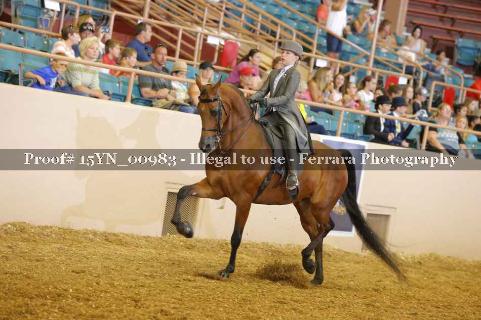 Proof 15YN_00983
